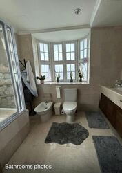 Braddell Heights Estate (D13), Detached #527842101